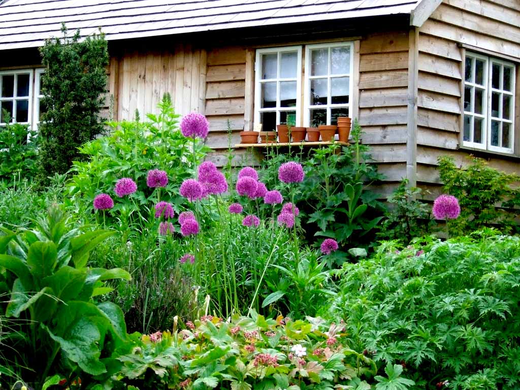 Cottage Garden