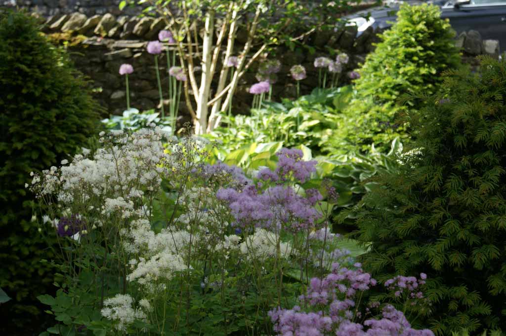 Dales Garden